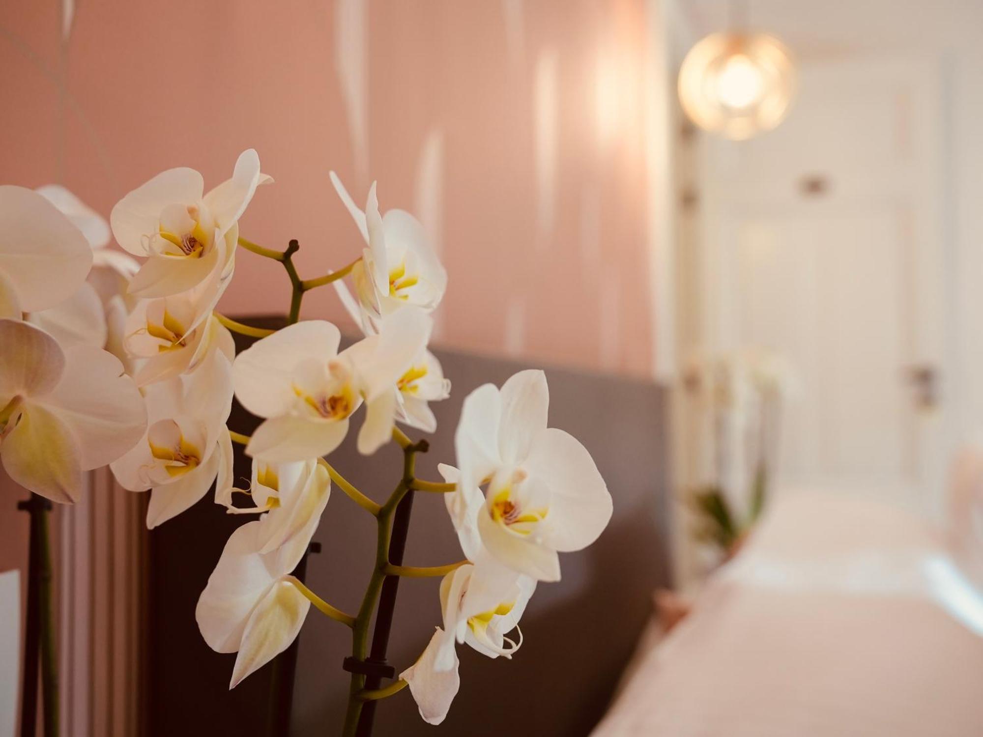 L'Amarante Chambres D'Hotes Ou Gite Citadin Theux Luaran gambar